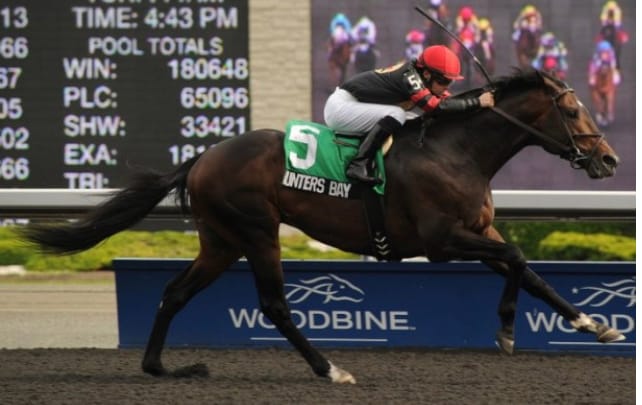 Фото: https://web.archive.org/web/20160303225638/http://ontariothoroughbred.com/woodbine/2012/09/16/wilson-completes-her-chase-for-1000